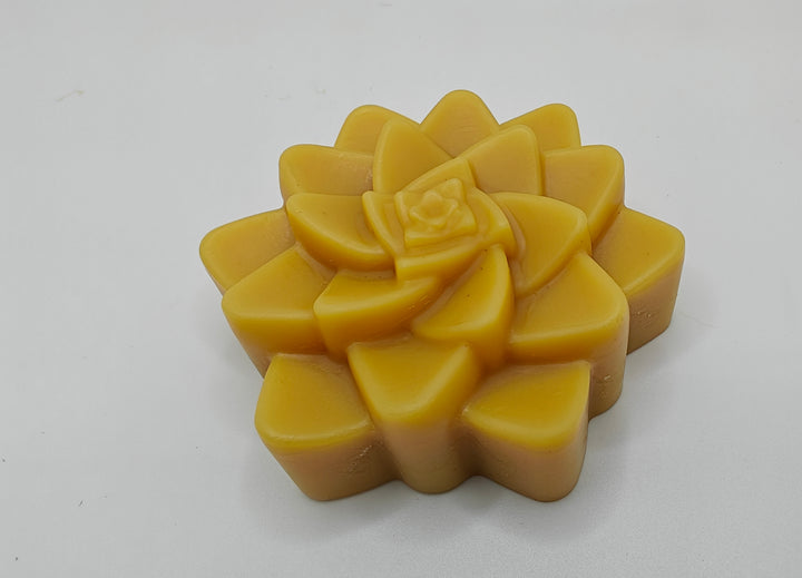 Pure beeswax in succulent shape | Raw Beeswax | NoCo Apothecary